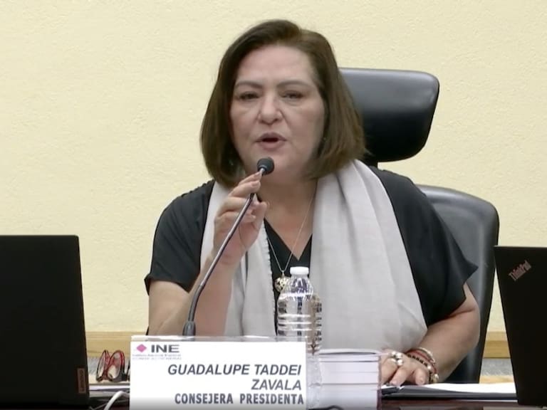 Guadalupe Taddei podrá hacer los nombramientos faltantes en el INE
