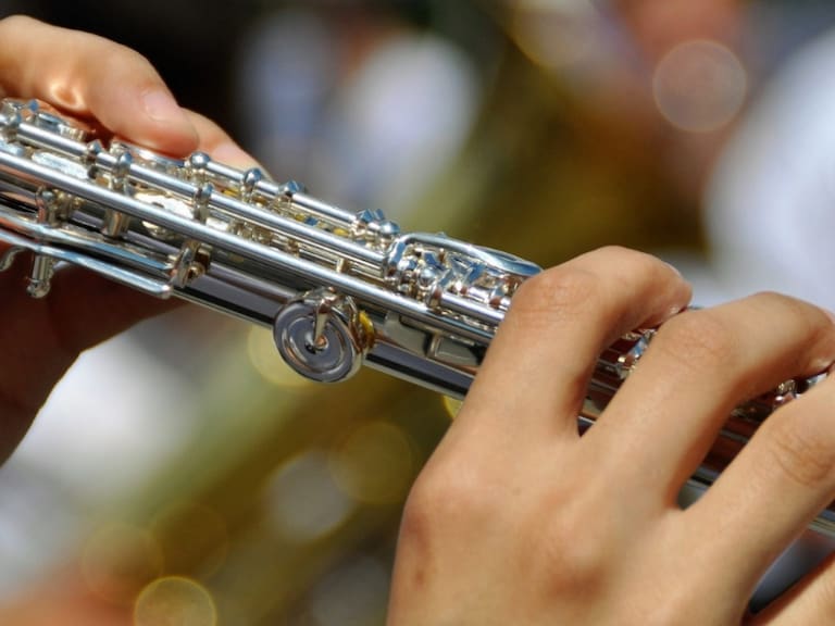 Clases de música: Flauta transversa