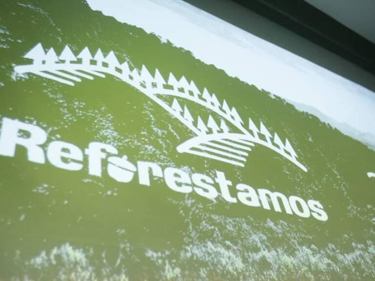 Busca Zapopan y Reforestamos México plantar un millón de árboles