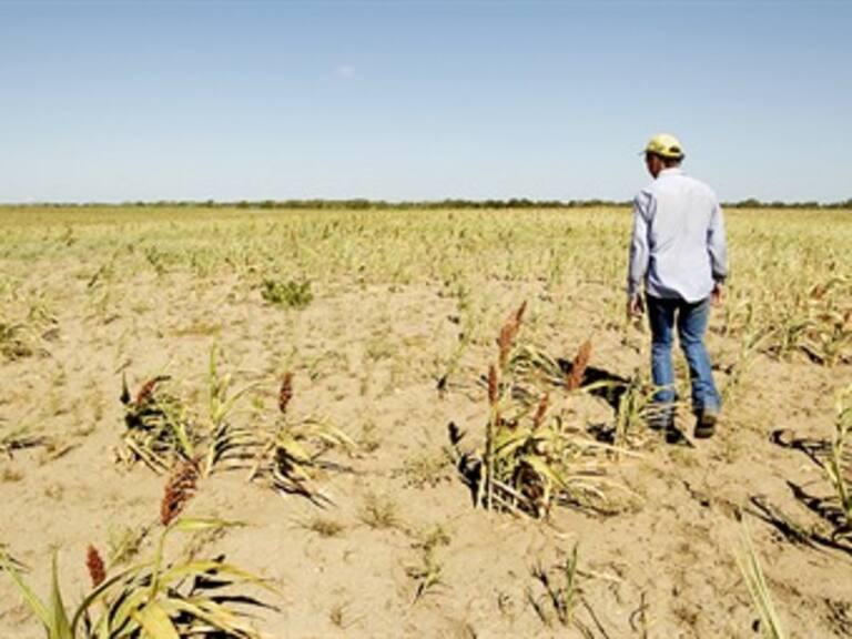 Alerta en más del 50% del país por sequía: CNC