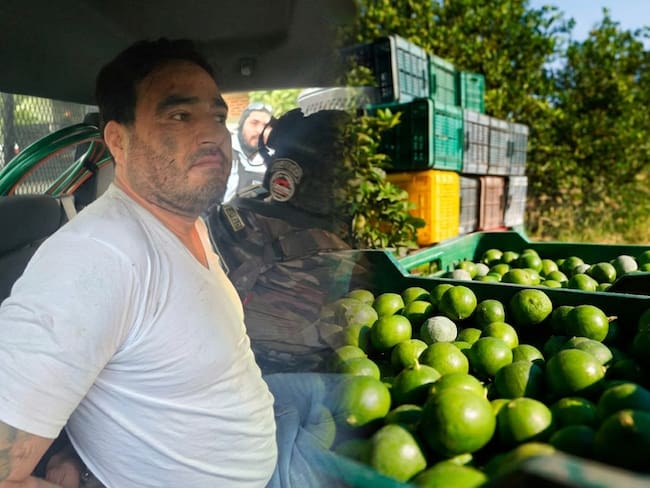 ¿Se acabará la extorsión a limoneros? El análisis de Guadalupe Mora tras la caída de “El Botox”