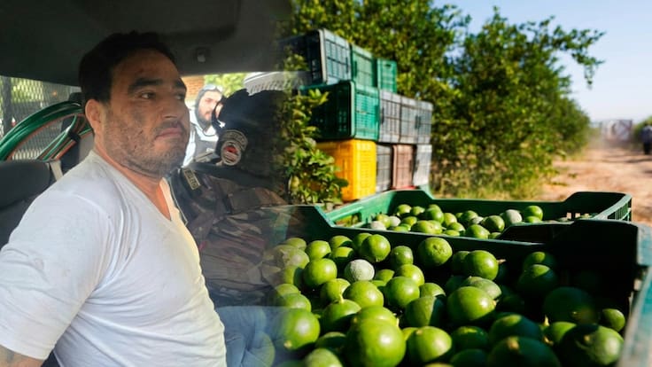 ¿Se acabará la extorsión a limoneros? El análisis de Guadalupe Mora tras la caída de “El Botox”