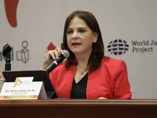 INAI en contra de que se viole la normatividad; los datos personales son nuestros: Julieta del Río