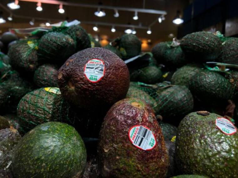 Michoacán espera reanudar en las próximas horas las exportaciones de aguacate a EU.