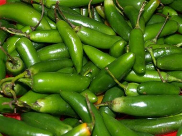 Chile. Carla Cisneros, productora