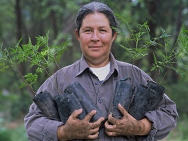 Premia Naciones Unidas a mexicana