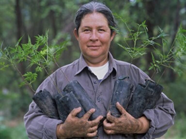 Premia Naciones Unidas a mexicana
