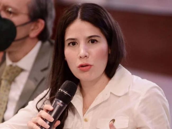 Niega líder de diputados del PVEM que haya expulsado a Rocío Alexis Gamiño