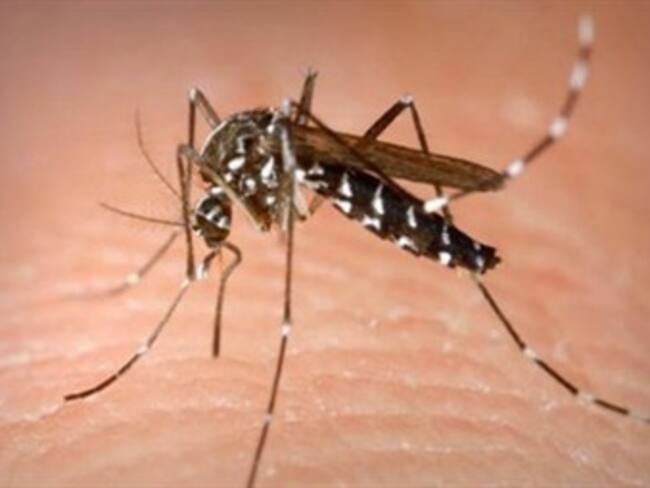 Alerta por virus del Nilo. Soldado Rascón en 'El Mañanero'