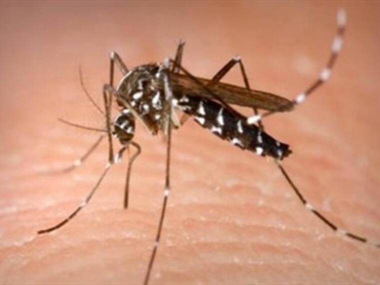 Alerta por virus del Nilo. Soldado Rascón en 'El Mañanero'