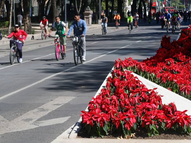 Paseo de la Reforma se pinta de rojo, llegaron las nochebuenas