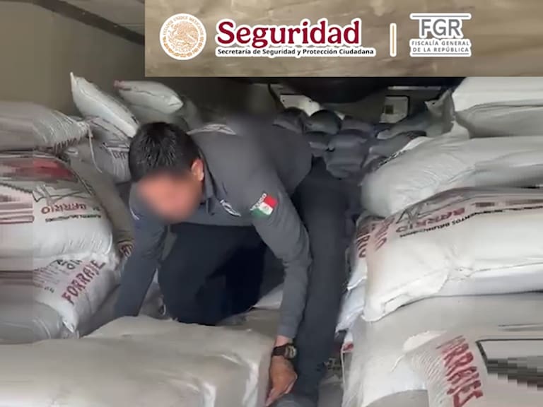 Autoridades afirman que con este golpe al narco miles de dosis no llegarán a las calles.
