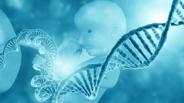 Epigenética y Nutrición: Cómo los primeros 1,000 días definen el futuro de tu hijo