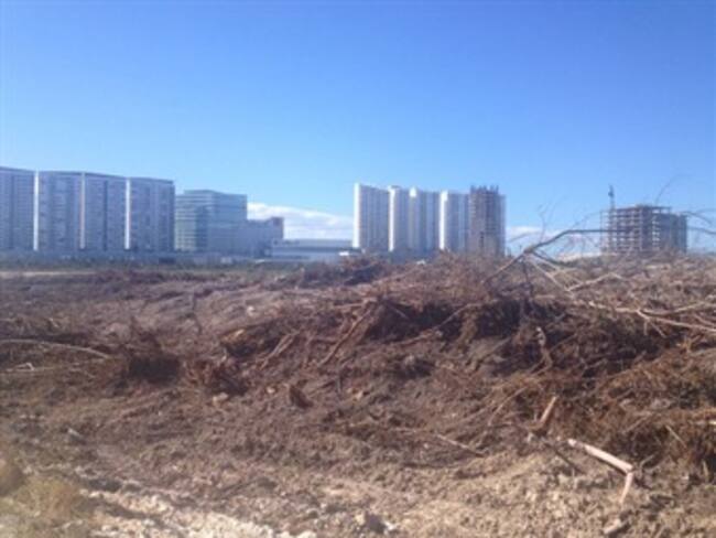 ¡Salvemos al manglar Tajamar!