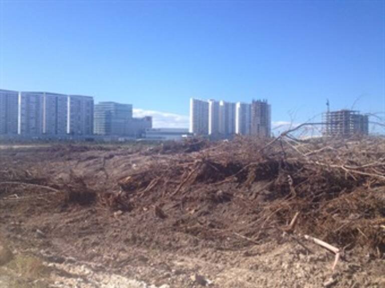 ¡Salvemos al manglar Tajamar!