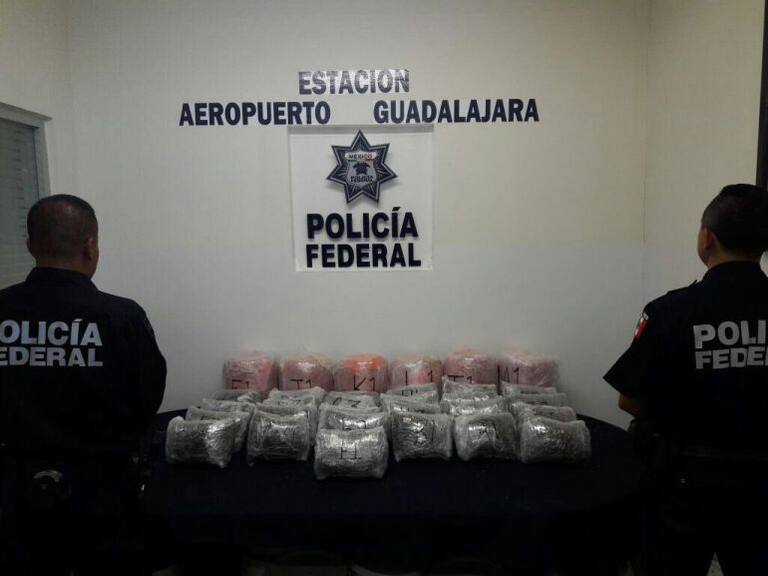 Decomisan más de 50 kilos de marihuana en el Aeropuerto de Guadalajara
