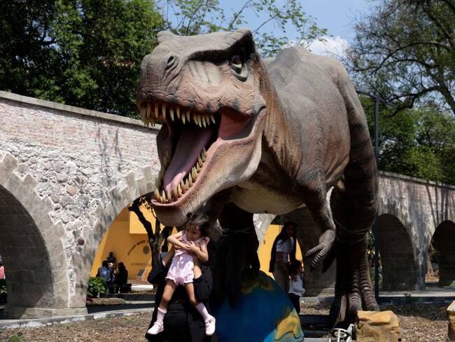 Exposición ´Dinosaurium´ llega al Zoológico de Chapultepec: horarios y precios