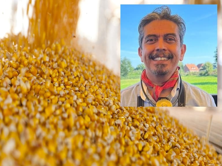 Hemos consumido maíz transgénico desde hace 30 años: Antimio Cruz
Seguramente se prohibirá la siembra de maíz transgénico en México, pero no la importación para otros usos, detalló el periodista de ciencia.
Este 2025 se cumplen 30 años desde que se comenzó a liberar el maíz transgénico, “del que se decía provocaba cáncer”, dichos que fueron refutados posteriormente y que llevaron a la paulatina liberación de esta especie de maíz, compartió el periodista de ciencia, Antimio Cruz, quien calificó como “interesante” que en México se consuman 45 millones de toneladas de maíz al año, de esos la producción de esos, solo producimos entre 25 y 28 millones de toneladas, por lo que “tenemos que estar importando maíz y generalmente es de Estados Unidos”.
En entrevista para “Así las Cosas” con Karla Santillán, en ausencia de Enrique Hernández Alcázar, el también director de información del portal “Salud Primero”, adelantó que, luego de que la presidenta Claudia Sheinbaum anunciara que se va a legislar para prohibir en la Constitución la siembra de maíz transgénico en México, lo que posiblemente se publique es que “Se prohíbe sembrar para consumo humano”, dejando abierta la posibilidad de importación que desde hace años se viene dando.
Y es que detalló que debido a un “mal expediente”, México perdió en el T-MEC el poder prohibir la producción de maíz transgénico con el argumento de “daños a la salud” que hasta la fecha no han sido comprobados.
Por ello “ahora lo que quieren hacer con la reforma constitucional es decir queda prohibido sembrar en México, más no va a decir que se prohíba importar”, esto principalmente porque dijo, el maíz que se importa es utilizado para “el consumo animal, -maíz amarillo- y la otra importación que es para transformación industrial, como para la producción de aceite, fructuosa, harina de maíz, frituras de consumo generalizado como cereales, tostadas”, por lo que aseguró “Sí, estamos comiendo maíz transgénico desde hace 30 años”.
No obstante, reconoció que “México tiene razón en cuanto a protección de la salud, medio ambiente y riqueza cultural”, pues señaló que en la siembra puede darse un cruce de polen y con ello una cruza de semillas híbridas que provocarían la pérdida de la riqueza de la diversidad de maíz mexicano de más de 80 variedades.