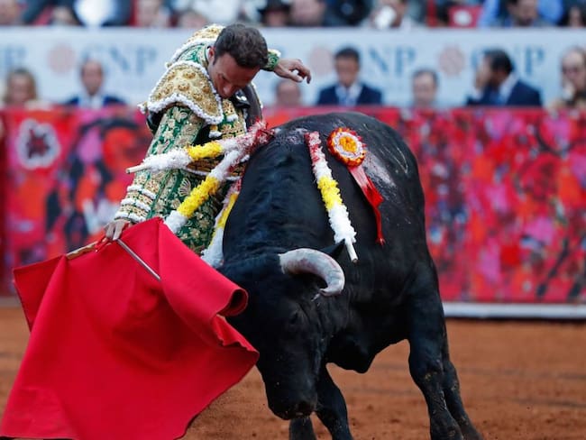 Prohíben corridas de toros en la Plaza México