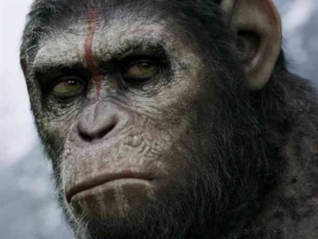 Conoce cuáles son los estrenos de esta semana