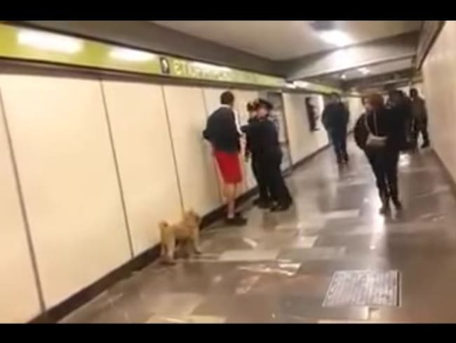 Usuario del metro agrede a policías al no permitirle ingresar con su perro