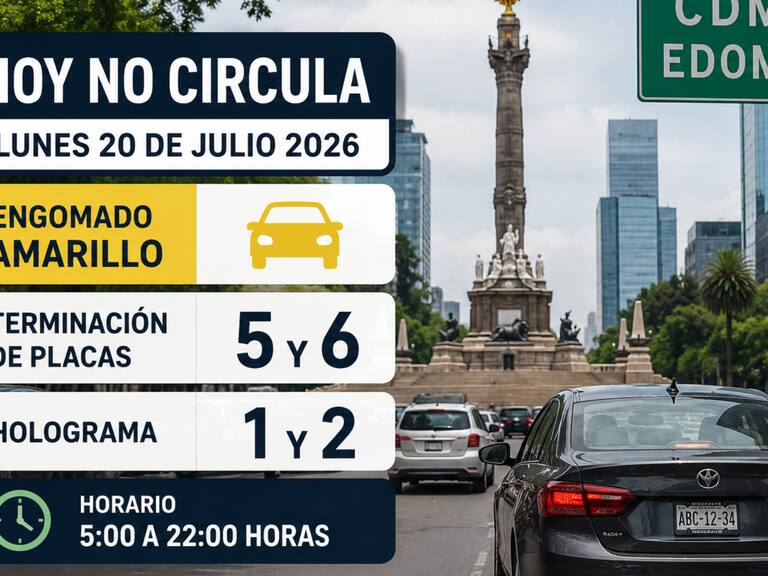 Estos vehículos descansan este lunes en CDMX y Edomex. IA