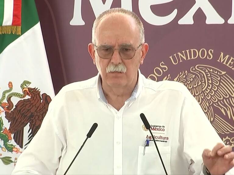 Julio Berdegué, titular de la Secretaría de Agricultura, defendió la producción cárnica y de leche de México.