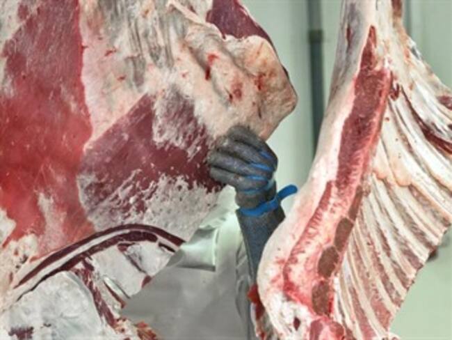 Venta de carne de caballo como carne de res. John Lemon, corresponsal en Reino Unido19/02/13