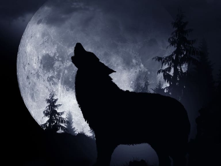 Luna del Lobo: ¿Por qué se llama así y cómo verla este 28 de enero?