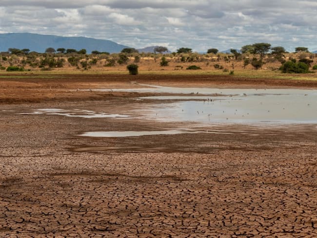 Conagua declara emergencia por sequía en México; estas son algunas medidas
