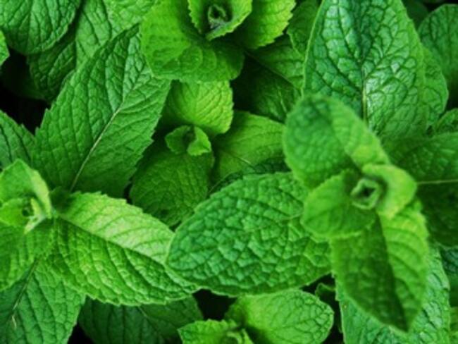 Hierbabuena. Penélope Durán, redactora de w Radio