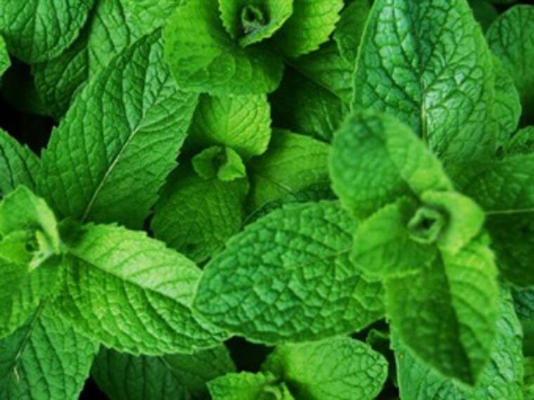 Hierbabuena. Penélope Durán, redactora de w Radio