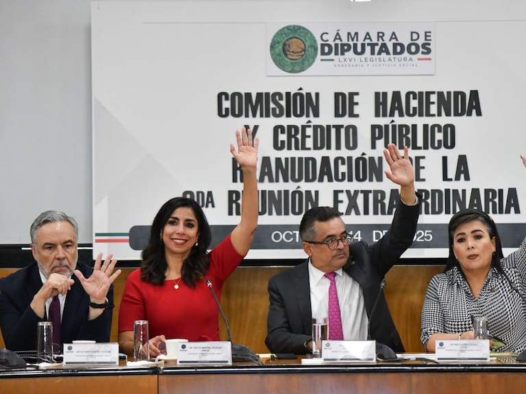 Comisión de Hacienda y Crédito Público de la Cámara de Diputados, durante la segunda sesión extraordinaria en la que se sometieron a discusión los dictámenes Ley Federal de Derechos; Ley del Impuesto Especial sobre Producción y Servicios; Código Fiscal de la Federación.
FOTO: MARIO JASSO/CUARTOSCURO.COM