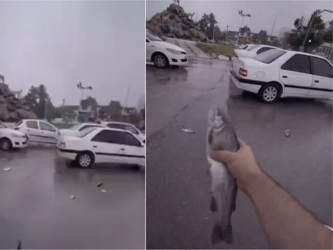 VIDEO: Lluvia de peces sorprende a habitantes en Irán ¿Por qué ocurre este fenómeno?