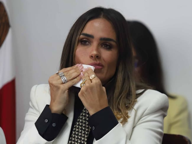 Estaba haciendo su trabajo: PAN cierra filas con Alessandra Rojo de la Vega tras violencia en Zona Rosa