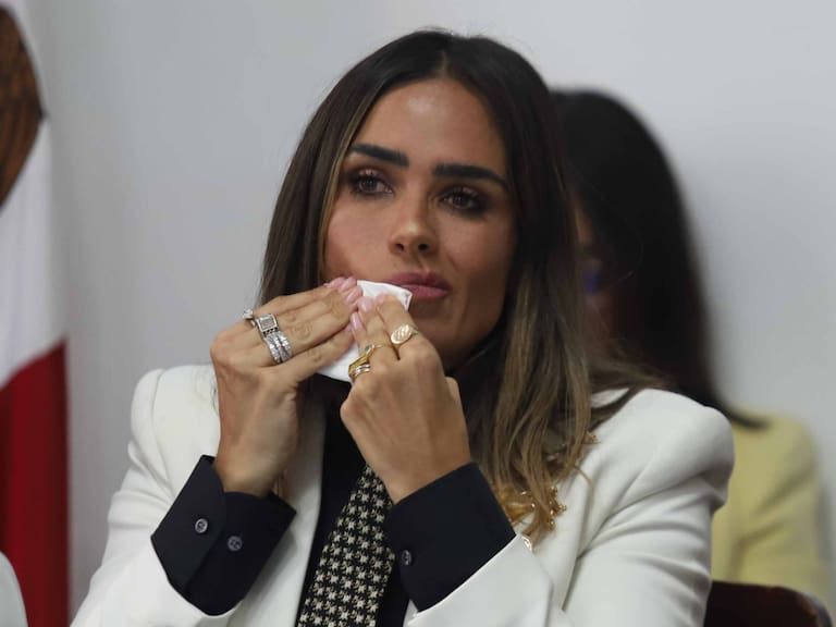Estaba haciendo su trabajo: PAN cierra filas con Alessandra Rojo de la Vega tras violencia en Zona Rosa