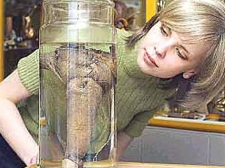 Conociendo a...El Museo del Pene