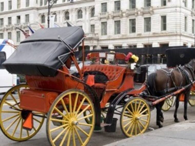 Planean sustituir carruajes. John Lemmon desde Nueva York. 25/03/13