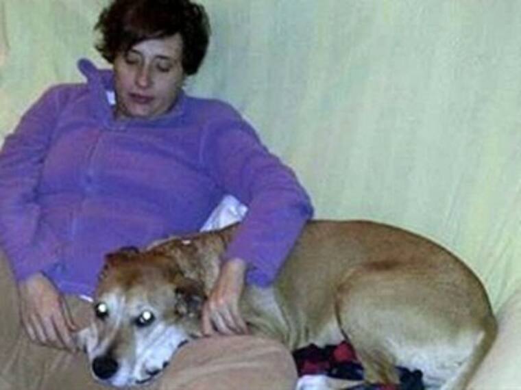 Sacrifican a Excalibur, perro de enfermera española infectada por ébola