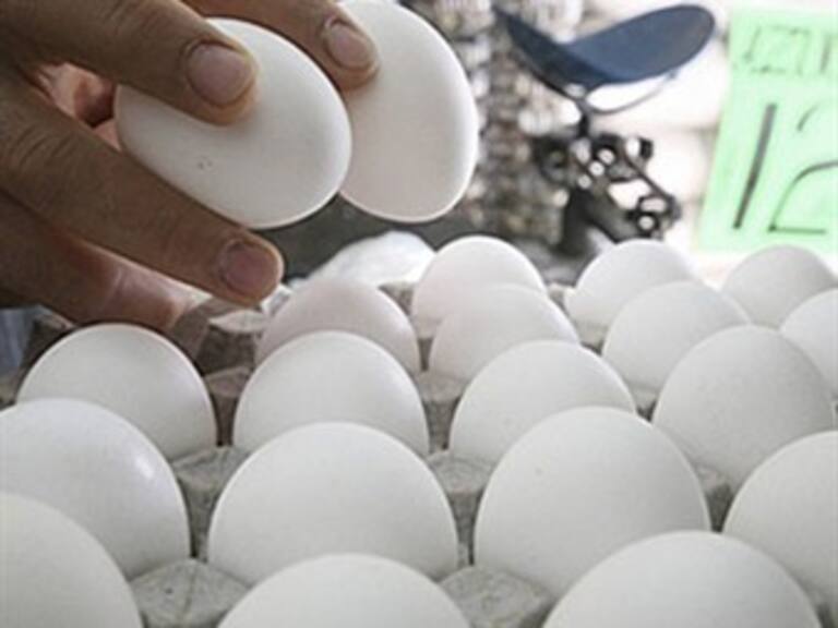 Podría continuar importación de huevo hasta 2013: SE