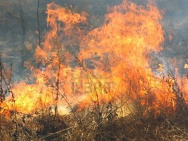 Apoya El Salvador a Australia por incedios forestales