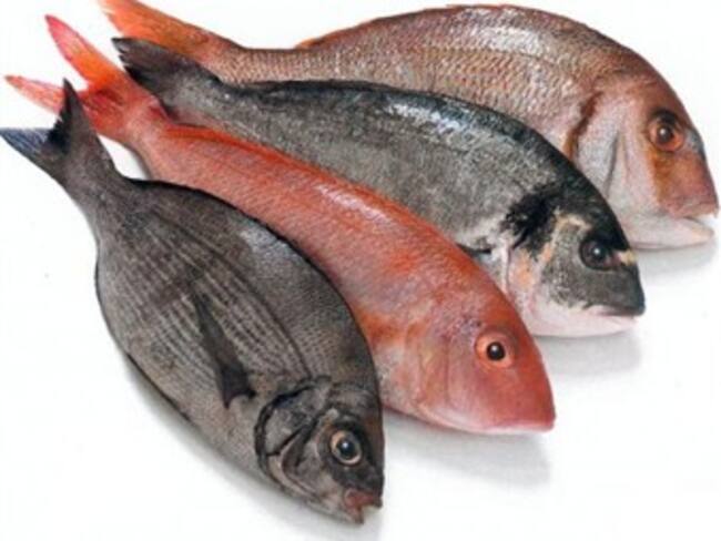 ¿El pescado es como nos lo pintan?. Arieh Goldberg, médico. 17/03/13