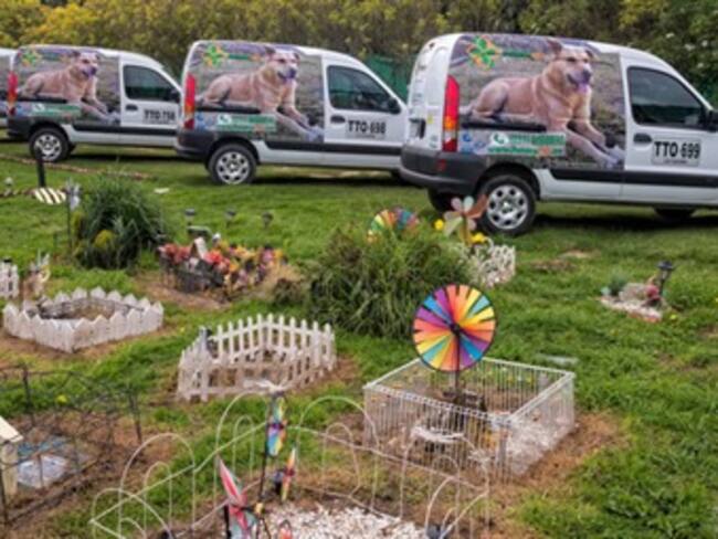Servicios funerarios para animales.'El reino animal' con Marielena Hoyo