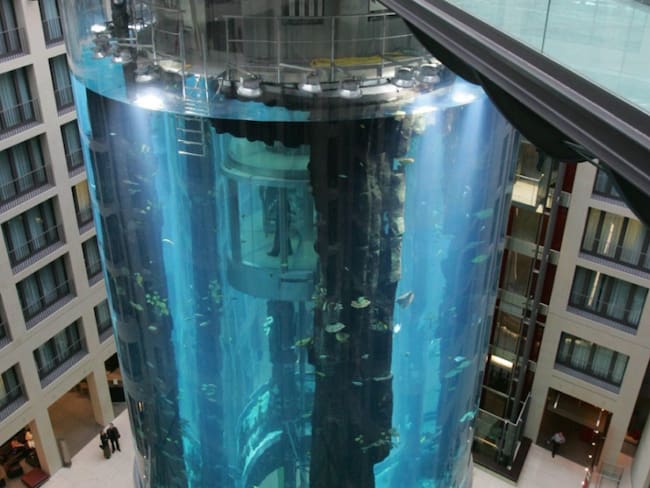 Aquadom Berlin: Revienta el acuario cilíndrico más grande del mundo |VIDEOS