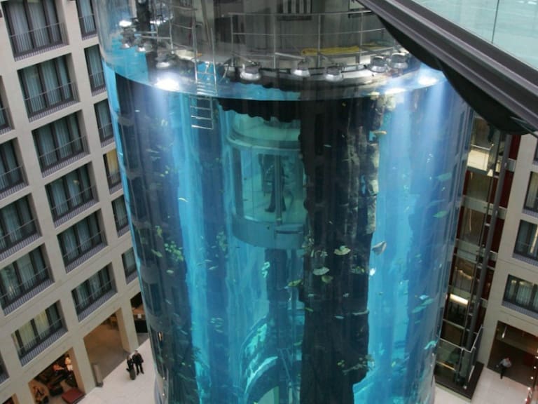 Aquadom Berlin: Revienta el acuario cilíndrico más grande del mundo |VIDEOS