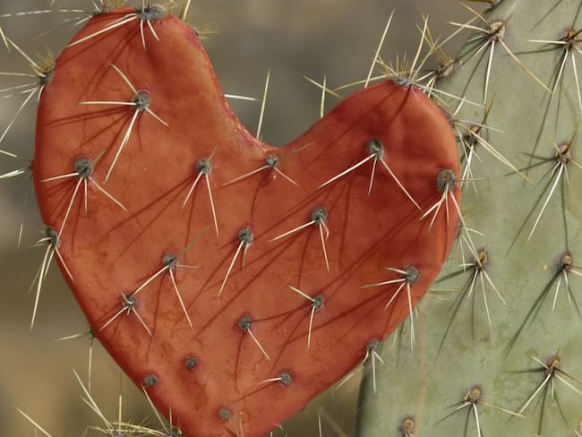Alegría: Lo más tóxico que he hecho con una pareja