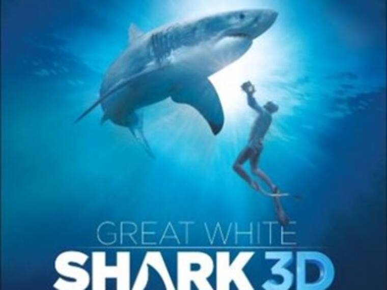 El Gran Tiburón Blanco en 3D.Fernando Karam,director de servicio de Papalote Museo del Niño