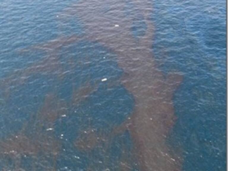 Detiene BP derrame de petróleo en el Golfo de México
