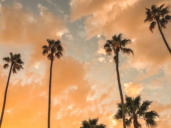 Baja California