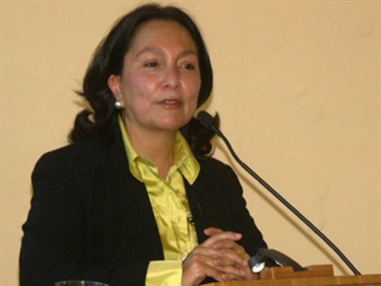 PRD sale en defensa de Amalia García